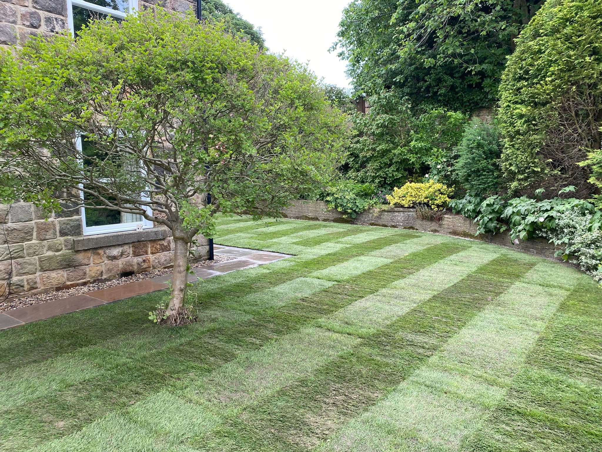 Garden transformation